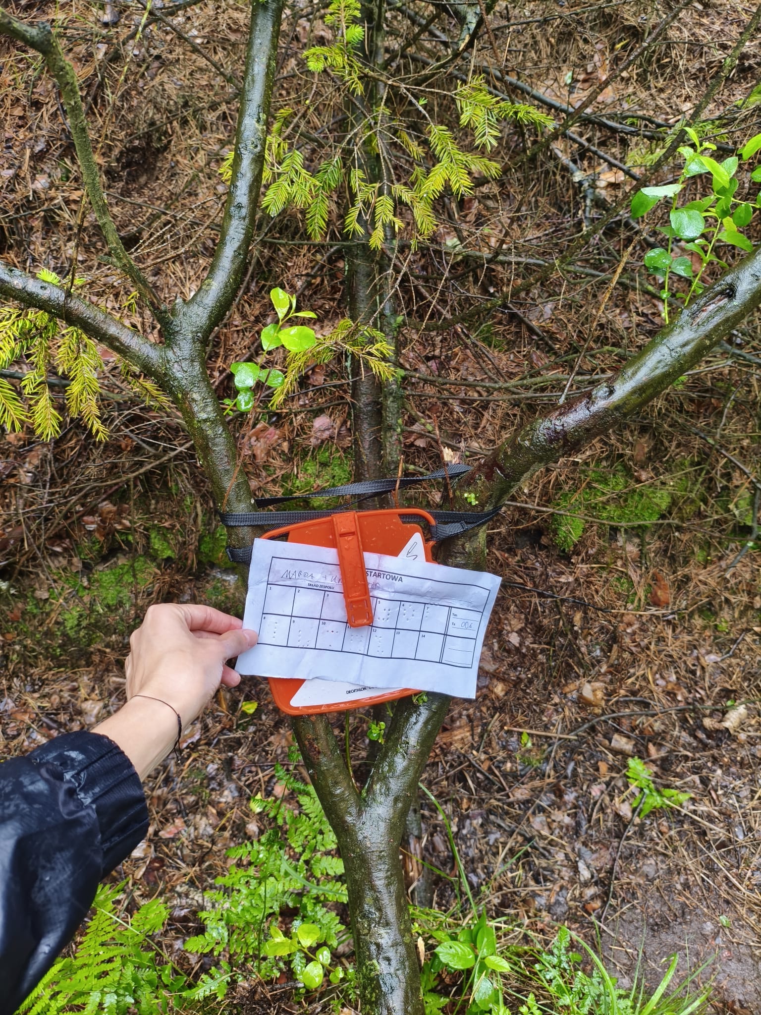 Organizacja imprez i eventów - zabawy integracyjne dla firm i rodzin